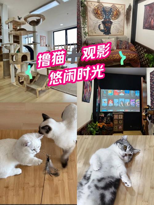 欧美图片婷婷的相关介绍