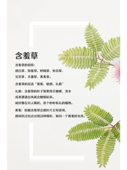 中国机长在线观看免费完整版影院 | 真实事件改编航空灾难片 | 高清无删减版正片资源