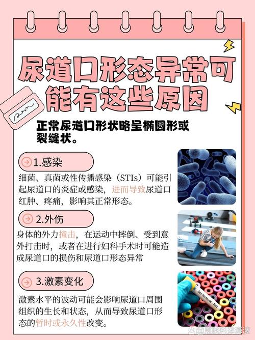 在线看18禁动漫的相关介绍