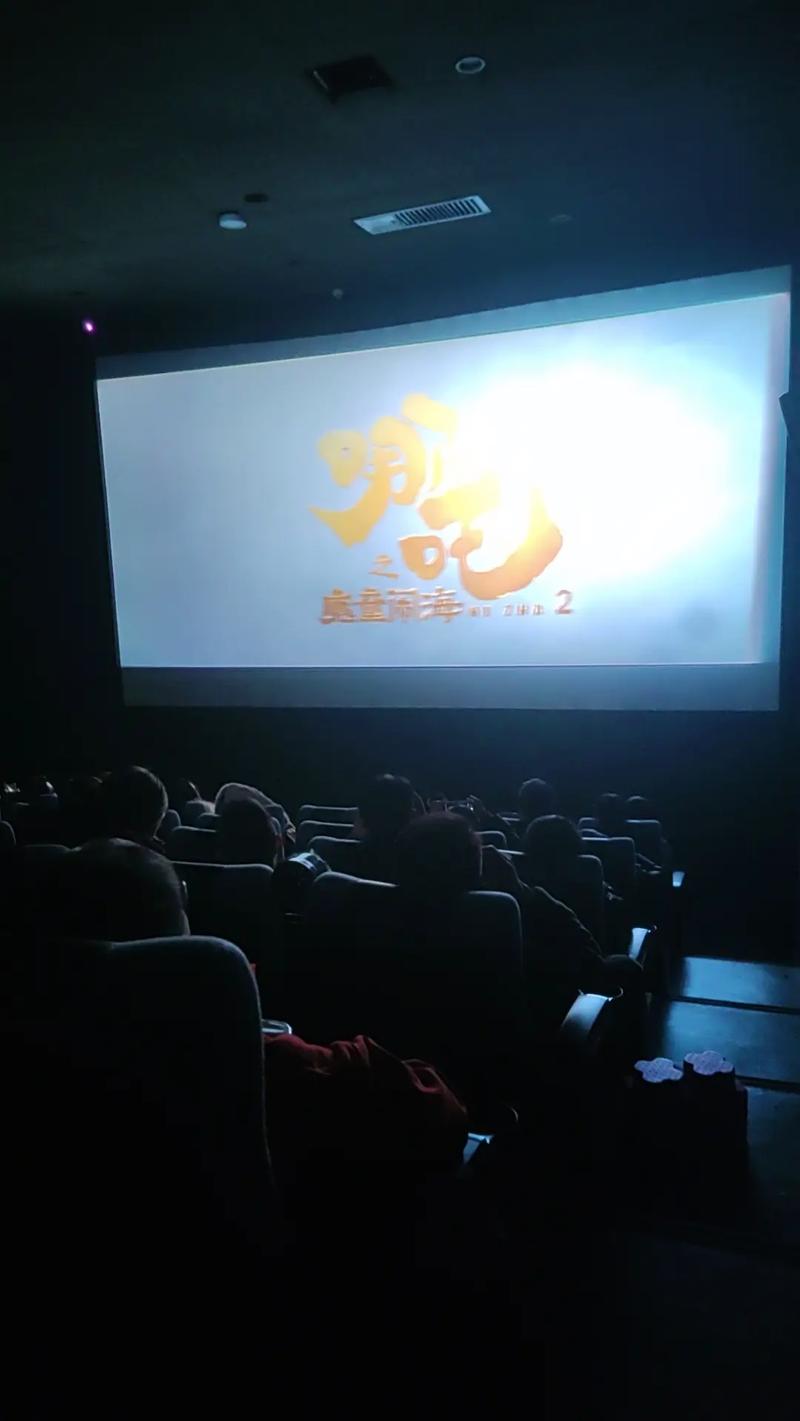 国产浮力影院访问限制解除方法｜2025最新破解攻略｜稳定观看技巧