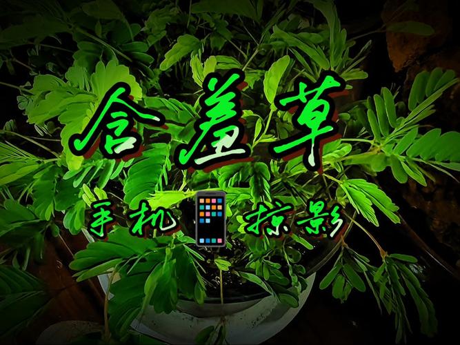 全能影院在线观看｜海量高清影视资源免费追剧，极速播放无广告干扰