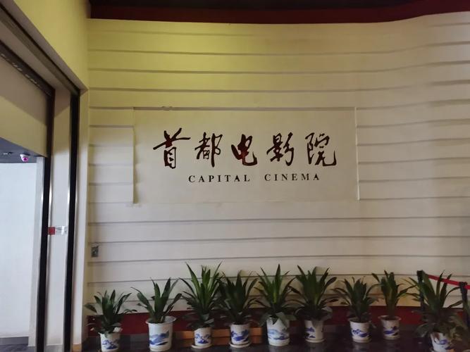北方影院经典怀旧老片推荐 | 北方影院节目单回顾 | 北方影院在线观看资源