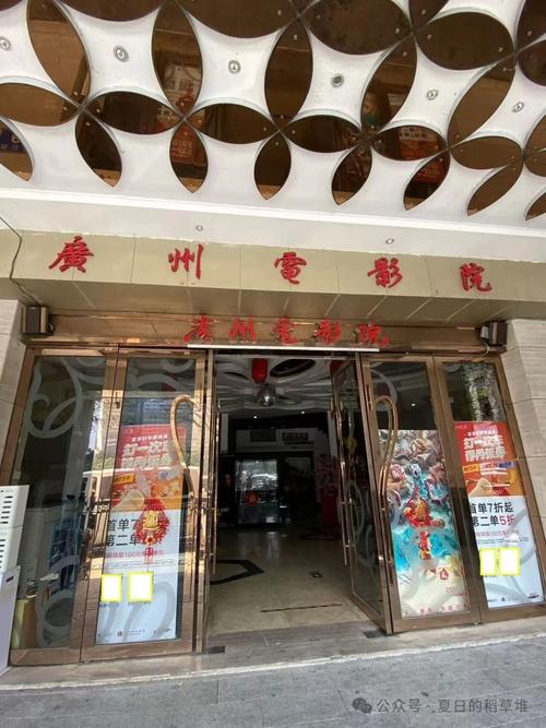看看视频下载app｜高清流畅免费追剧，支持离线缓存与极速下载