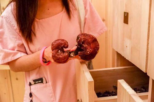 根据西瓜影院在线生成SEO标题：西瓜影院在线 - 全网高清影视免费观看，最新热播剧集在线追更不卡顿