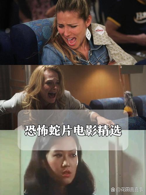 免费下载视频APP推荐｜2025热门视频剪辑与播放神器