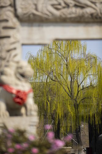 浮力影院限制最新解除方法，2025免费观影渠道与安全规避指南