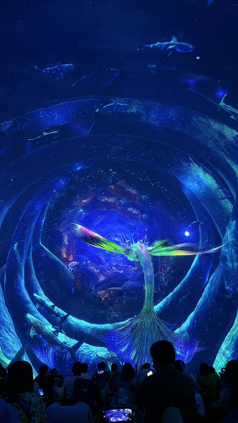 午夜寂寞影院 | 深夜独处必看的高颜值女主电影推荐，治愈孤独感的长尾片单