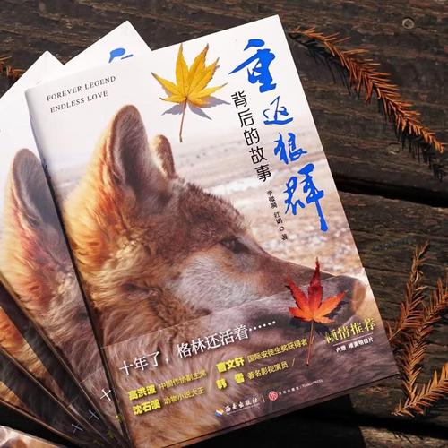 《天堂电影院》深度影评：时光中的胶片与乡愁（人生成长、电影情怀、故乡记忆）