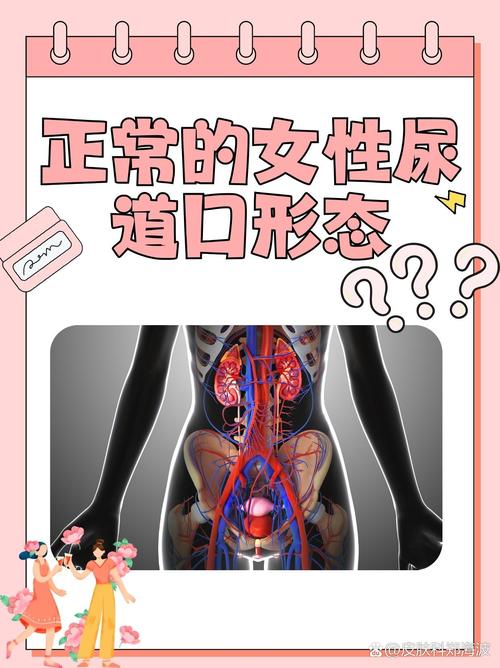 街角搭讪人妻中出的相关介绍
